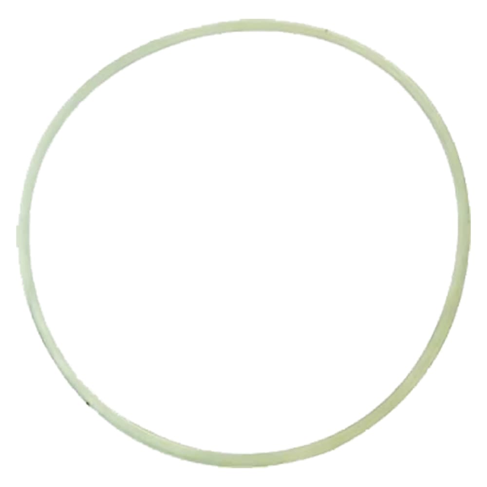 Guarnizione per 10 Ecoplast 5 lt - 2