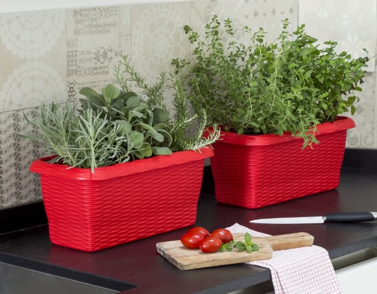 Fioriera Rettangolare Bama Paglia 11,5 lt Corallo 60 x 20 x 17,5 cm - 3
