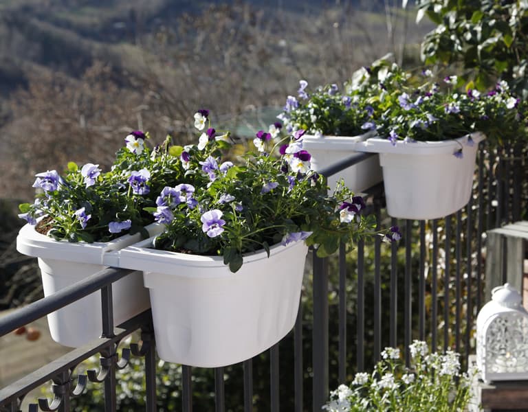 Balconetta Doppia Bama Klunia 7 lt Panna 40 x 19,8 x 18,5 cm - 5