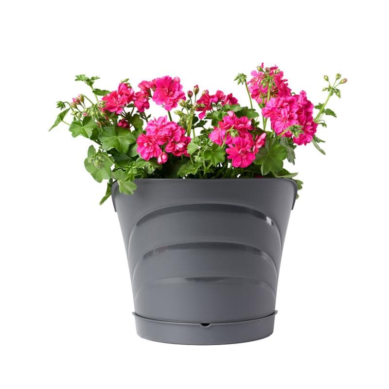 Vaso in Set Bama Tulipano 5 lt Grigio 34,5 x 19 x 30 cm - 5