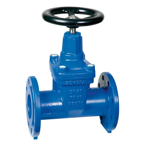 Saracinesca Corpo Ovale Plass DN 65 PN 25 - 2