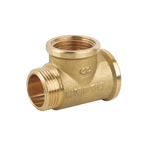 Tee Ffm in Ottone Giallo Caval 319 C010 a 05 - 3