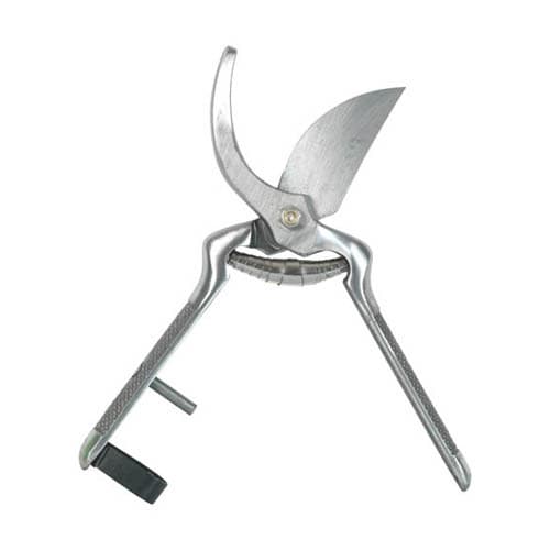 Forbice Curva Tradizionale Ribim 230 mm - 3