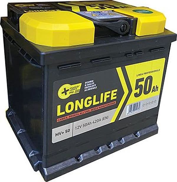 Batteria Auto Modulo Valore con Ah 50 Dx Spunto 420A 207 x 175 mm H 190 mm - 2