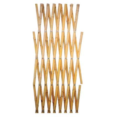 Traliccio Canna Bamboo Stars 16 a 18 mm 200 x 200 cm 5 Pezzi - 2