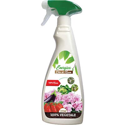 Insetticida Olio Neem Spray Energica 500 g 6 Pezzi - 2