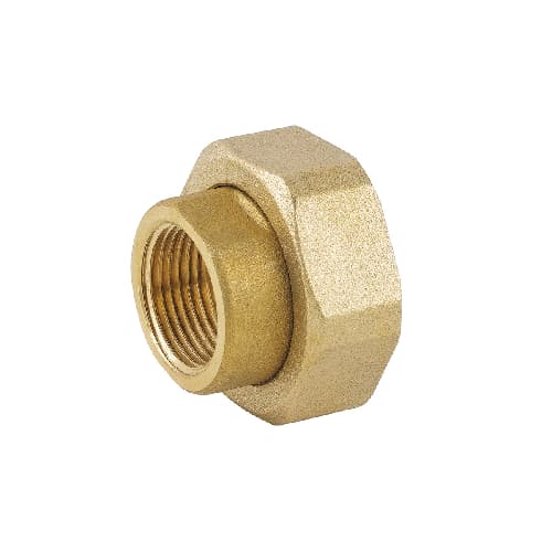 Raccordo in 2 Pezzi FF per Pompa con Guarnizione Caval 1 x 2 - 2
