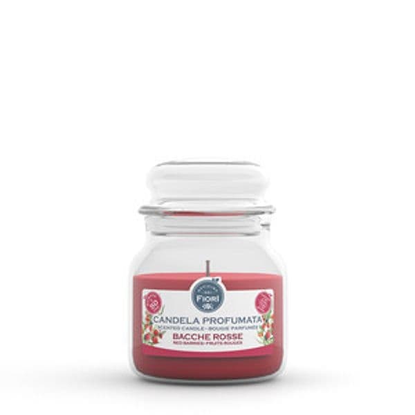 Candela Officina dei Fiori Bacche Rosse 50 Ore 6 Pezzi - 2