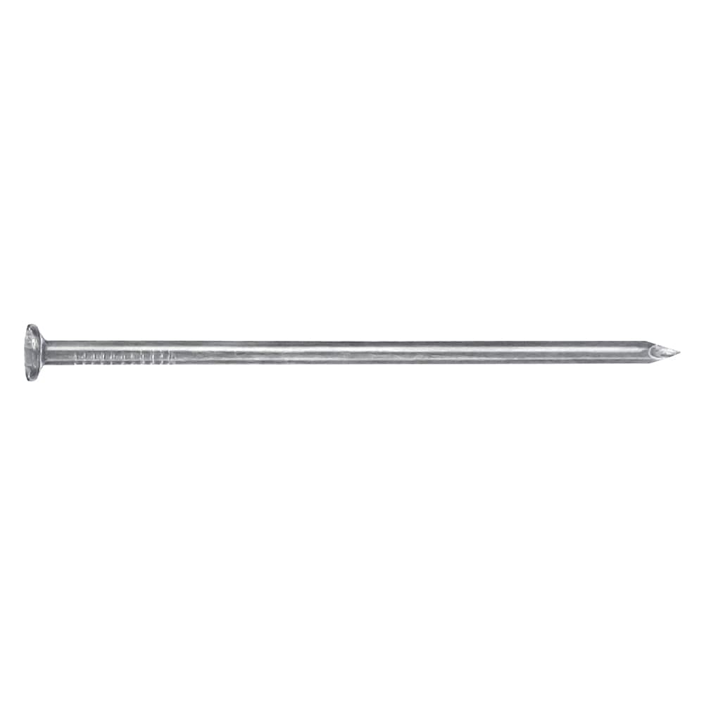 Chiodi Testa Piana Tp Sidex 13 x 30 mm 5 kg - 2