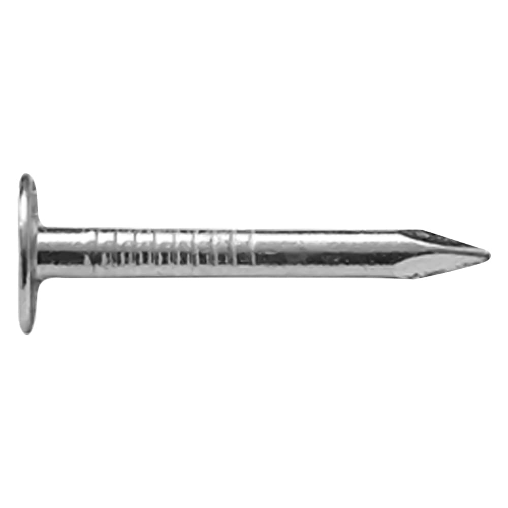 Chiodi Testa Piana Larga Tpl Sidex 14 x 25 mm - 2
