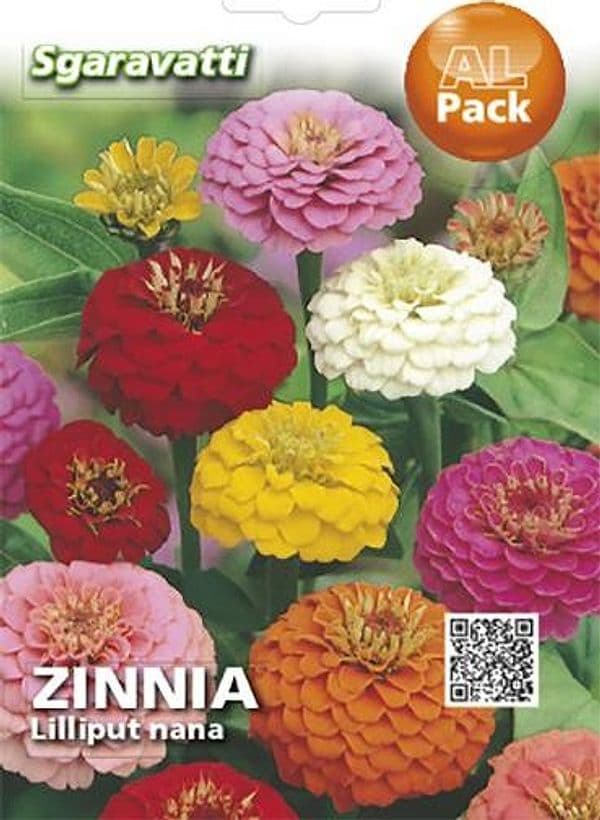 SEMI PER PRATO UNIVERSALE fior di zinnia lilliput nanna- 20 pezzi  - SGARAVATTI - 3