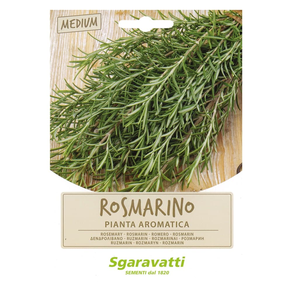 SEMI PER ORTAGGI E VEGETALI rosmarino- 20 pezzi  - SGARAVATTI