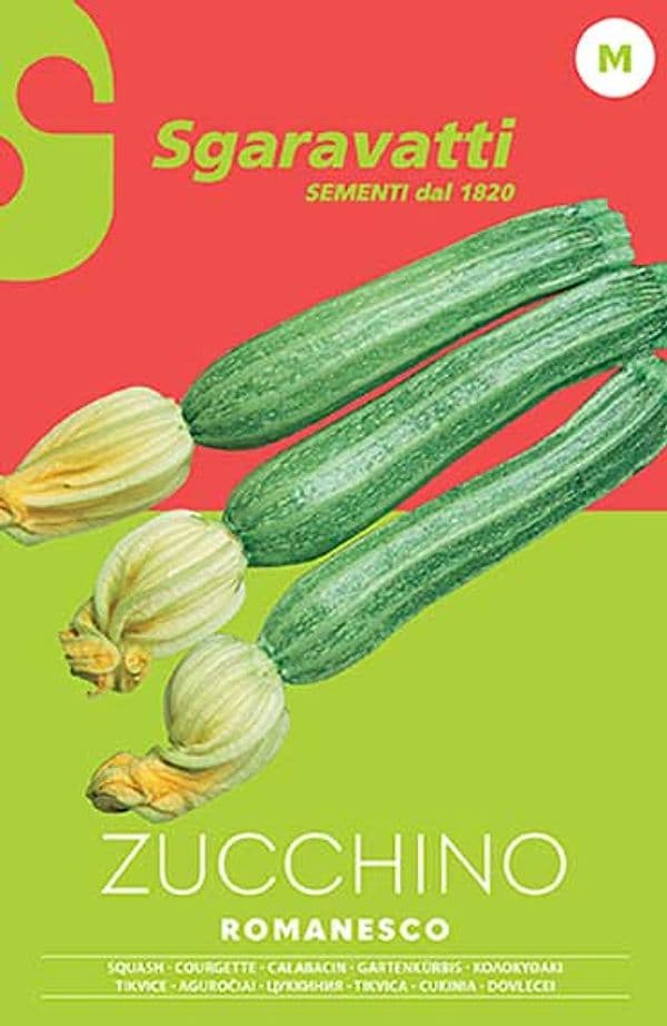 SEMI PER ORTAGGI E VEGETALI zucchino romanesco- 20 pezzi  - SGARAVATTI - 3