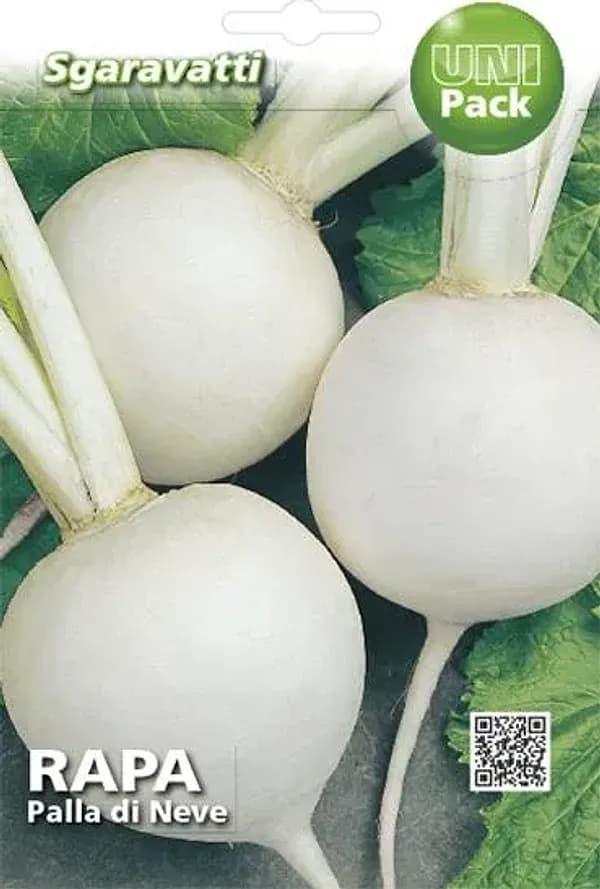 SEMI PER ORTAGGI E VEGETALI rapa palla di neve- 20 pezzi  - SGARAVATTI - 3