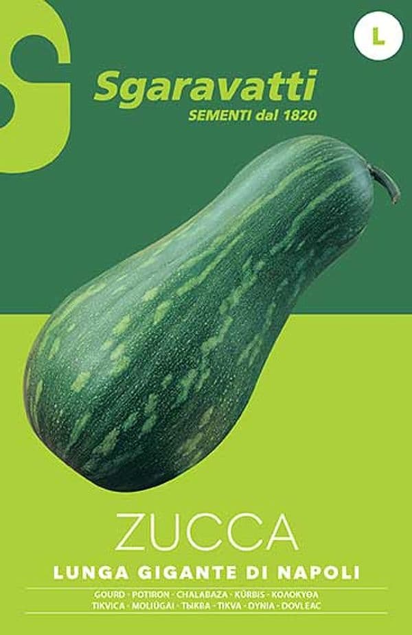 SEMI PER ORTAGGI E VEGETALI zucca lunga gigante di Napoli- 20 pezzi  - SGARAVATTI - 3