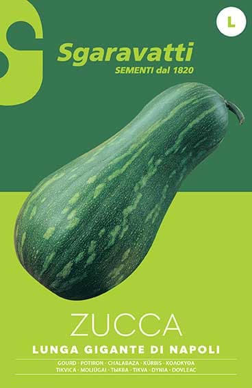Semi per Ortaggi e Vegetali Zucca Lunga Gigante di Napoli 20 Pezzi - 3