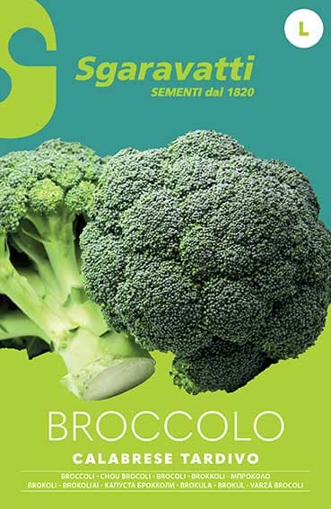 Semi per Ortaggi e Vegetali Broccolo Ramoso Calabrese Tardivo 20 Pezzi - 3