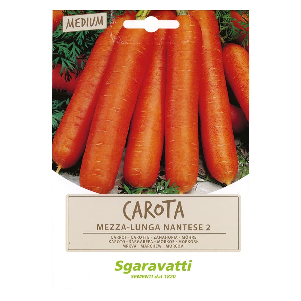 SEMI PER ORTAGGI E VEGETALI carota lunga nantese 2- 20 pezzi  - SGARAVATTI - 4