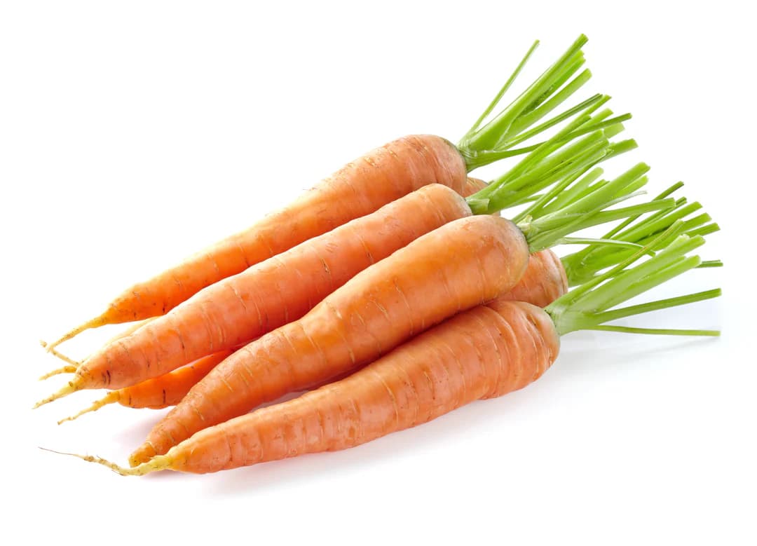 Semi per Ortaggi e Vegetali Carota Lunga Nantese 2 Sgaravatti 20 Pezzi - 4