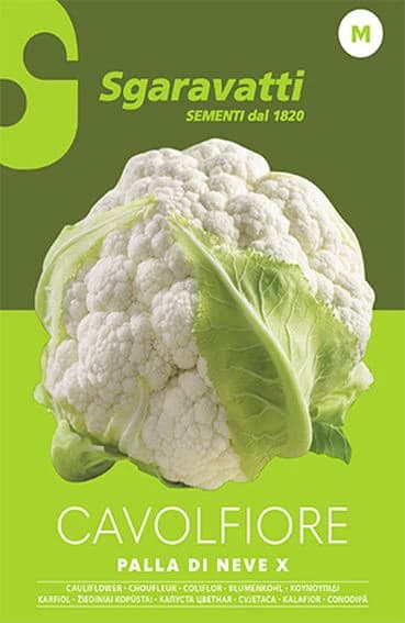 Semi per Ortaggi e Vegetali Cavolfiore Palla di Neve X Sgaravatti 20 Pezzi - 3