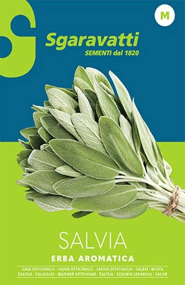 Semi per Ortaggi e Vegetali Salvia Officinale Sgaravatti 20 Pezzi - 3