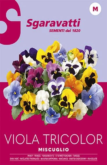 Semi per Prato Universale Sgaravatti Viola Tricolor Miscuglio 20 Pezzi - 3