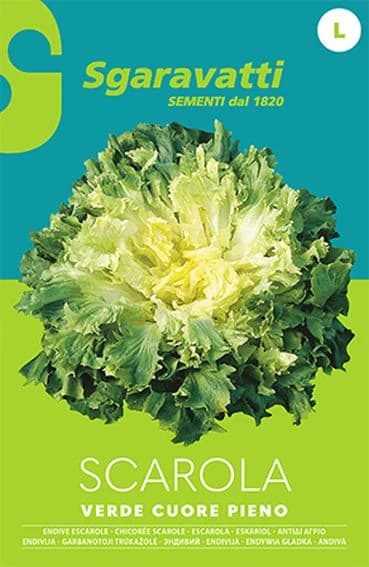 Semi per Ortaggi e Vegetali Scarola Sgaravatti Verde Cuore Pieno 20 Pezzi - 3