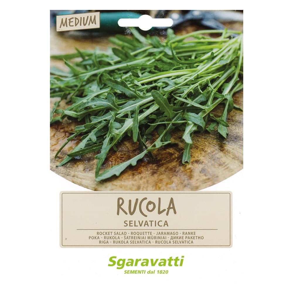 SEMI PER ORTAGGI E VEGETALI rucola selvatica- 10 pezzi  - SGARAVATTI