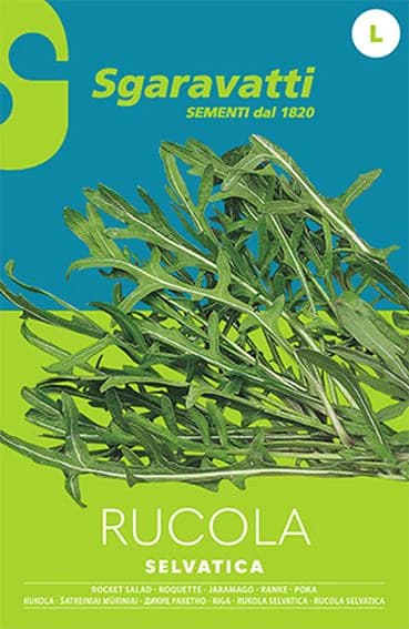 Semi per Ortaggi e Vegetali Rucola Selvatica Sgaravatti 10 Pezzi - 3