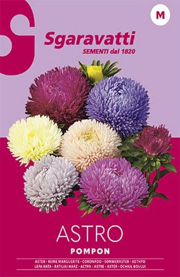 Semi per Prato Universale Astro Pompon Sgaravatti 20 Pezzi - 3