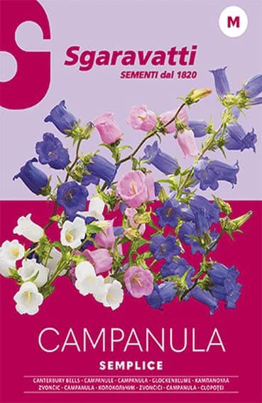 Semi per Prato Universale Campanula Semplice Sgaravatti 20 Pezzi - 3