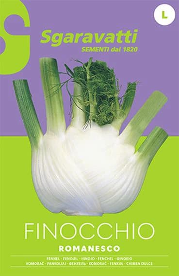 Semi per Ortaggi e Vegetali Finocchio Romanesco Sgaravatti 20 Pezzi - 3