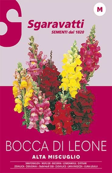 Semi per Prato Universale Bocca di Leone Sgaravatti 20 Pezzi - 3