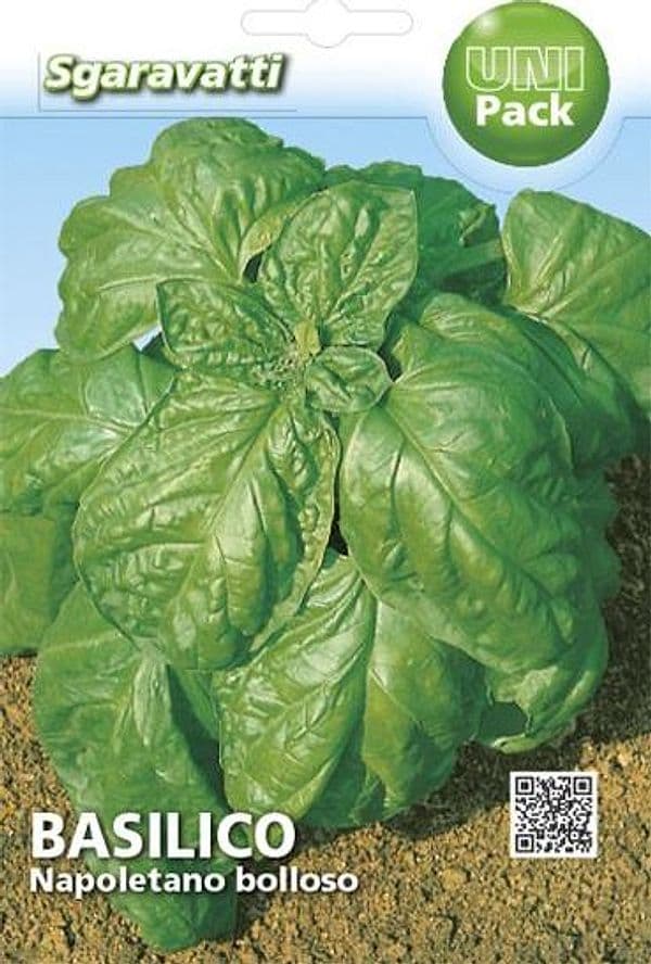 SEMI PER ORTAGGI E VEGETALI basilico napoletano bolloso- 10 pezzi  - SGARAVATTI - 3