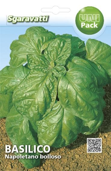 Semi per Ortaggi e Vegetali Basilico Napoletano Bolloso Sgaravatti 20 Pezzi - 3