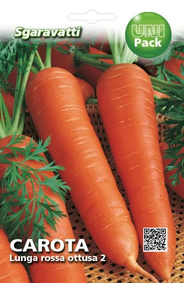 Semi per Ortaggi e Vegetali Carota Lunga Ottusa Sgaravatti 20 Pezzi - 3