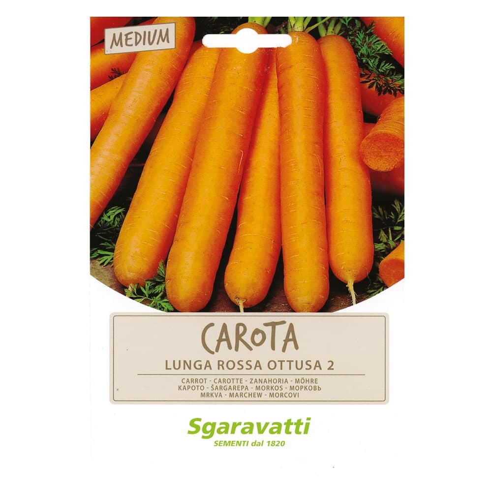 SEMI PER ORTAGGI E VEGETALI carota lunga ottusa- 20 pezzi  - SGARAVATTI