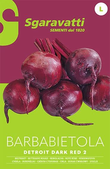 Semi per Ortaggi e Vegetali Barbabietola Detroit Sgaravatti 10 Pezzi - 3