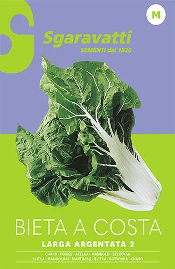 SEMI PER ORTAGGI E VEGETALI bieta verde costa larga argentata- 10 pezzi  - SGARAVATTI - 4