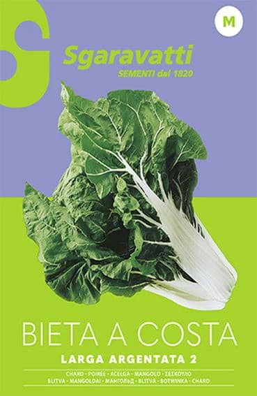 Semi per Ortaggi e Vegetali Bieta Sgaravatti Verde Costa Larga 10 Pezzi - 4
