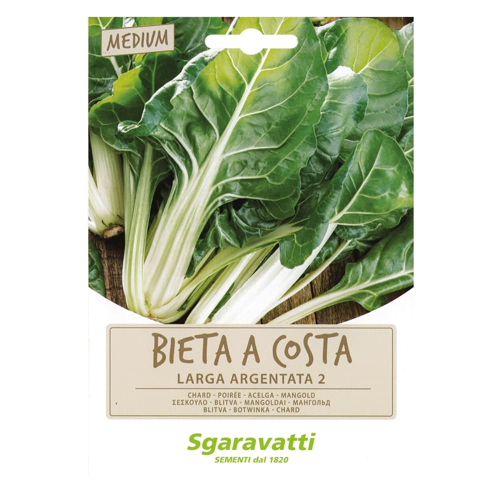 SEMI PER ORTAGGI E VEGETALI bieta verde costa larga argentata- 10 pezzi  - SGARAVATTI