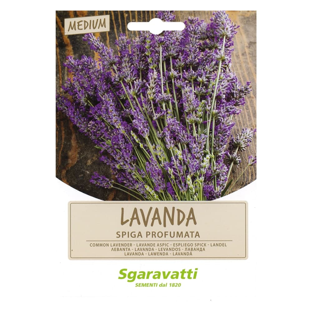 Semi per Ortaggi e Vegetali Lavanda Spiga Sgaravatti 20 Pezzi - 3