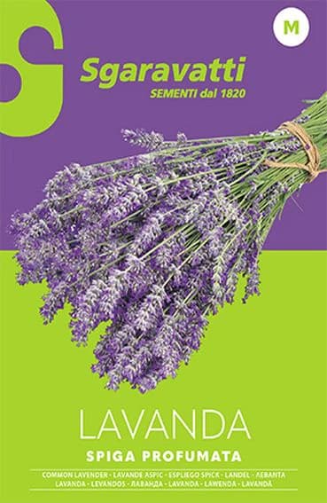 Semi per Ortaggi e Vegetali Lavanda Spiga Sgaravatti 20 Pezzi - 3