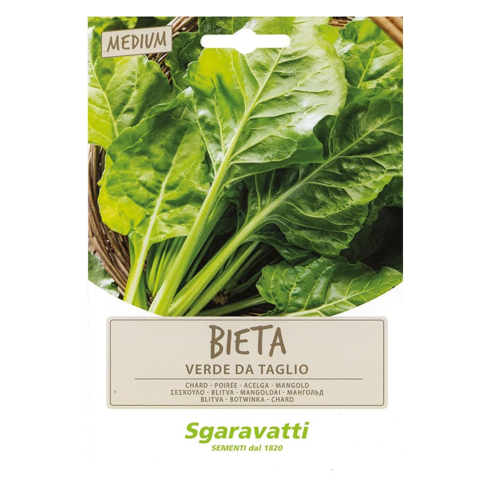 Semi per Ortaggi e Vegetali Bieta Liscia Sgaravatti Verde Taglio 10 Pezzi