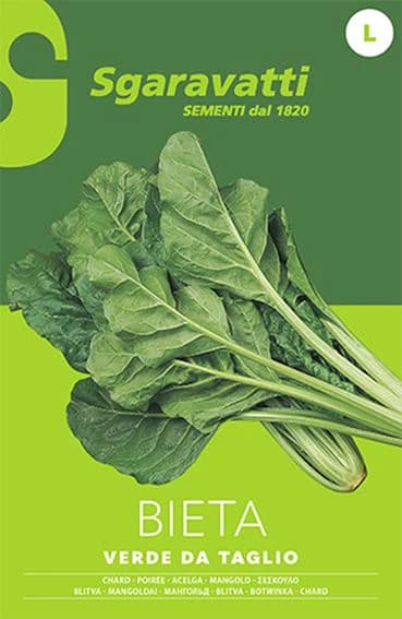 Semi per Ortaggi e Vegetali Bieta Liscia Sgaravatti Verde Taglio 10 Pezzi - 3