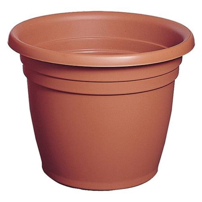 Vaso Campana Thea 20 x 15HCM 3L Terracotta 12 Pezzi - 3