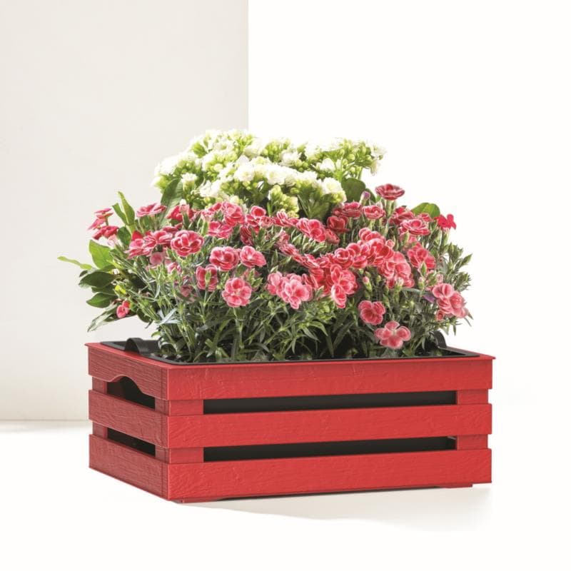 Cassetta Portafiori Bama Tina Flower 25 x 15,5 x 10,5 cm - 6