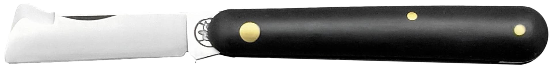 Colore Tello da Innesto 202 Susi Cm 17 2 Buoi - 4