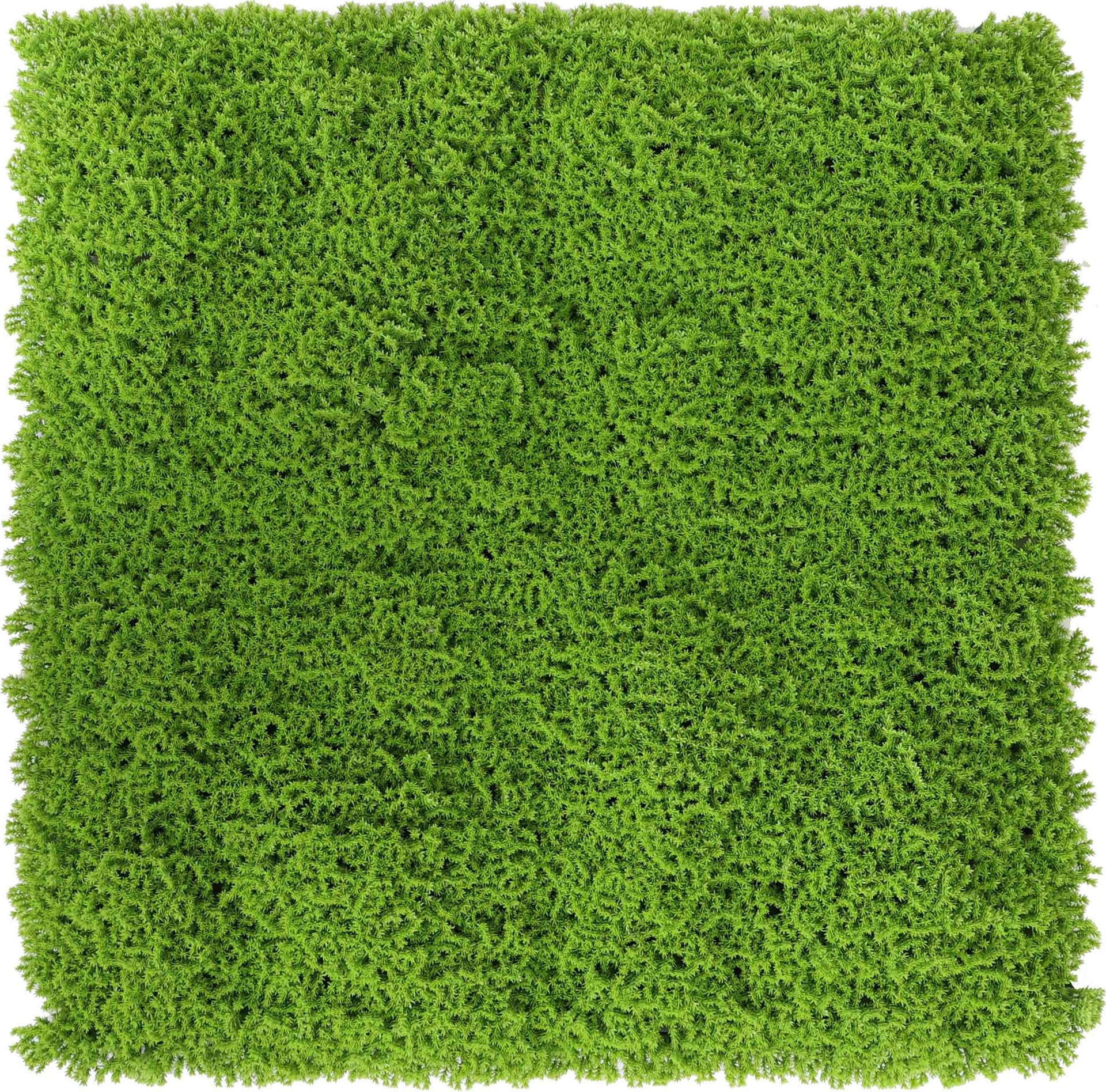 Siepe Artificiale Pannello 100 x 100CM Green 2 Pezzi - 2