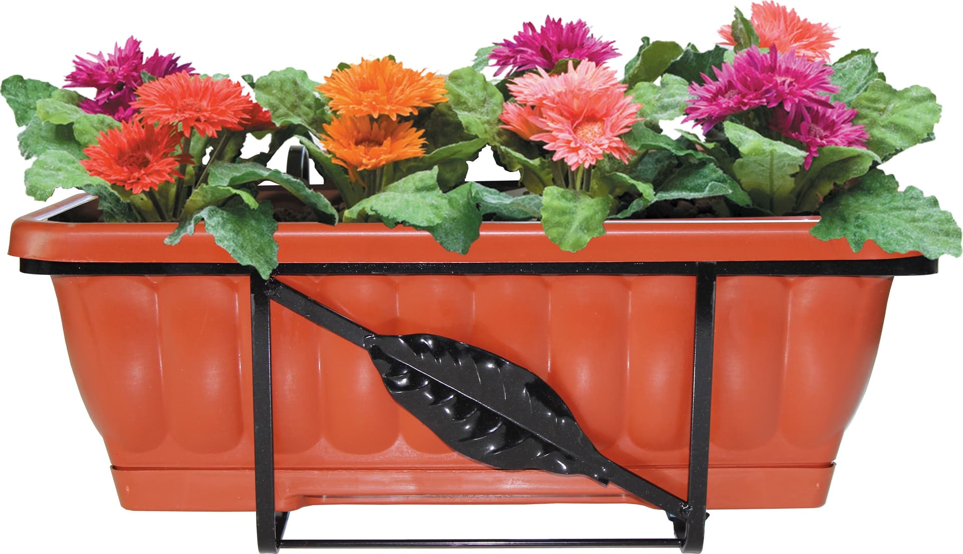 Set Balconi Fioriti Rettangolare 50 cm 6 Pezzi – Idroweb